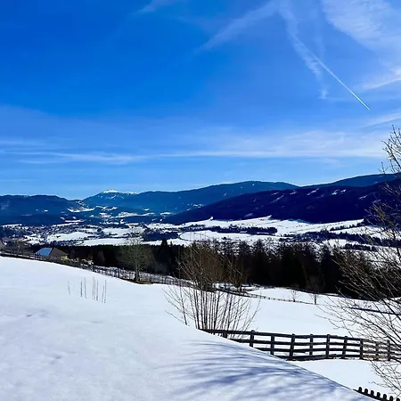 Apartment Laerchenhof 202 Mauterndorf (Salzburg)